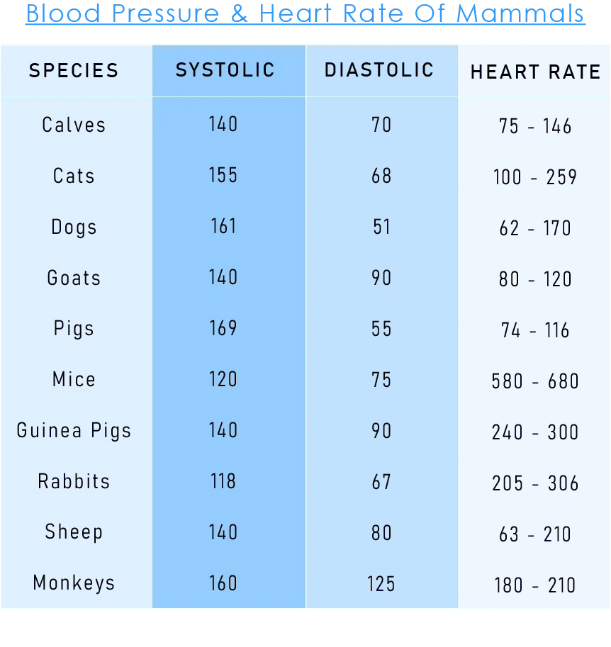 Blood Pressure Chart for Mammals